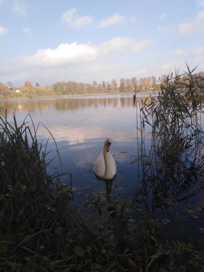Alte Schule am See Biskupiec  Exterior foto